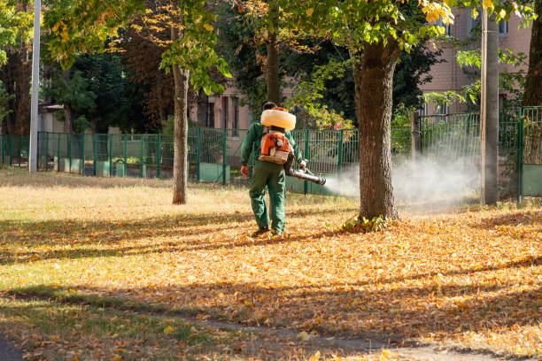 Trusted Lakeside, VA Pest Control Experts