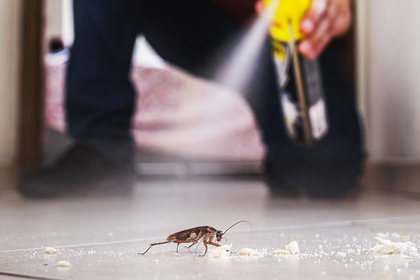 Best Pest Control Near Me in Lakeside, VA