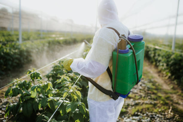 Best Affordable Pest Control Services  in Lakeside, VA